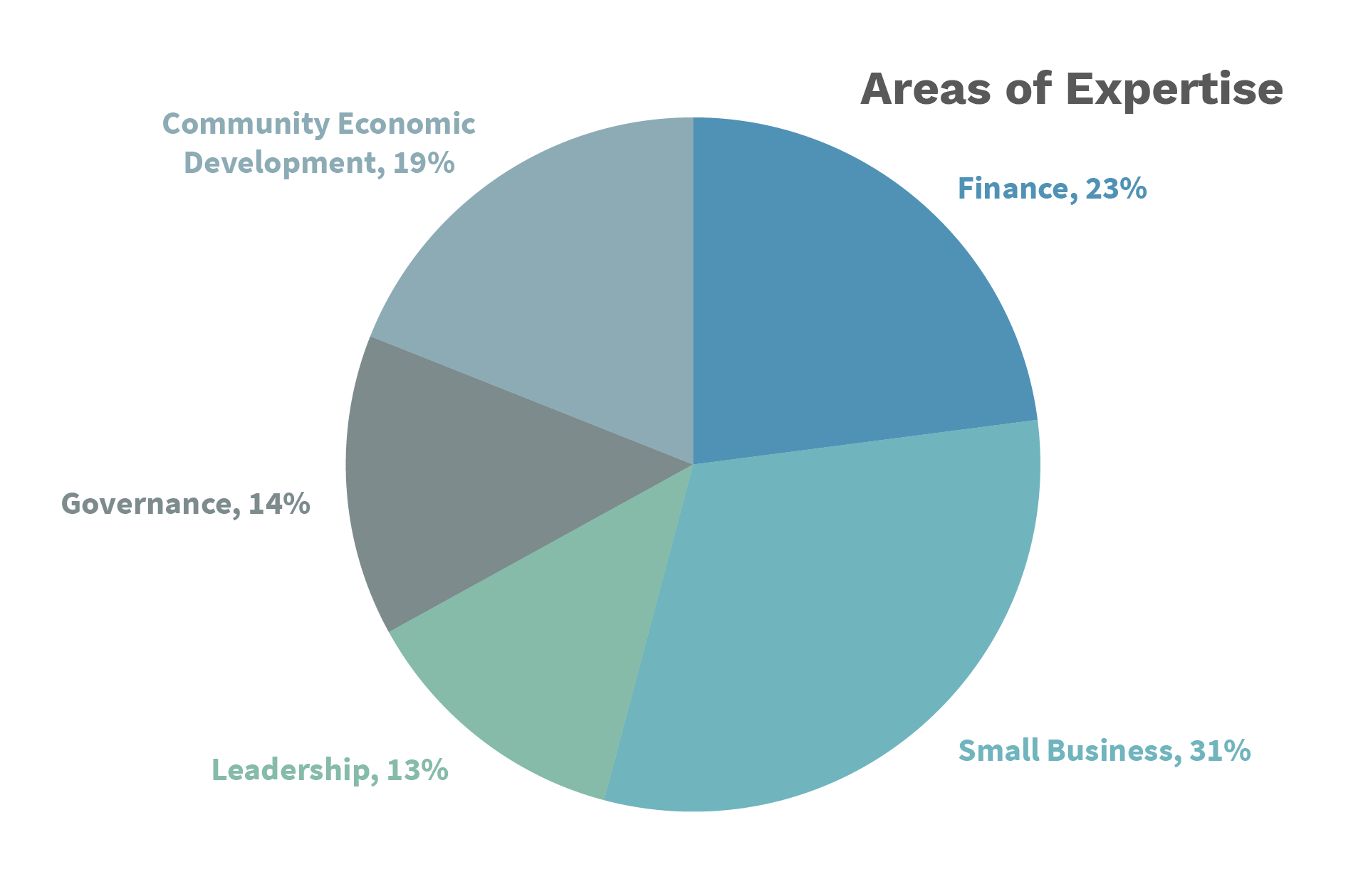 Pie chart illustrating the board of directors' expertise.